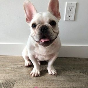 Meet your Posher, Leanne